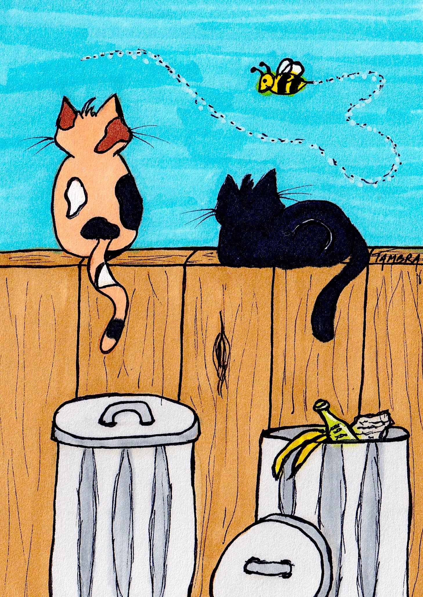 Fence Cats & Bee