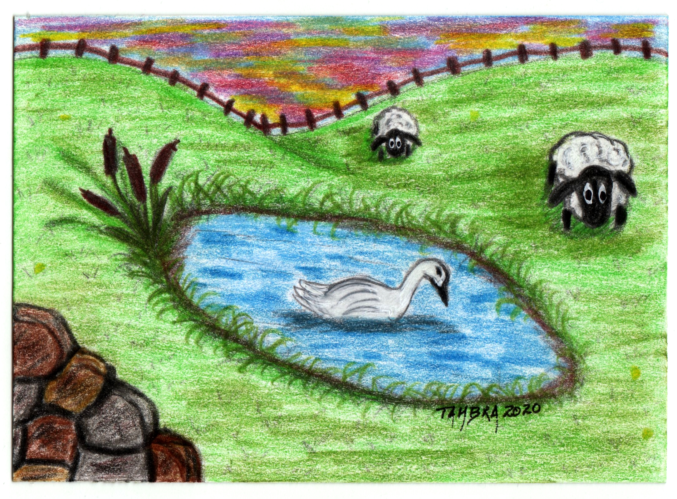 Sheep #1
