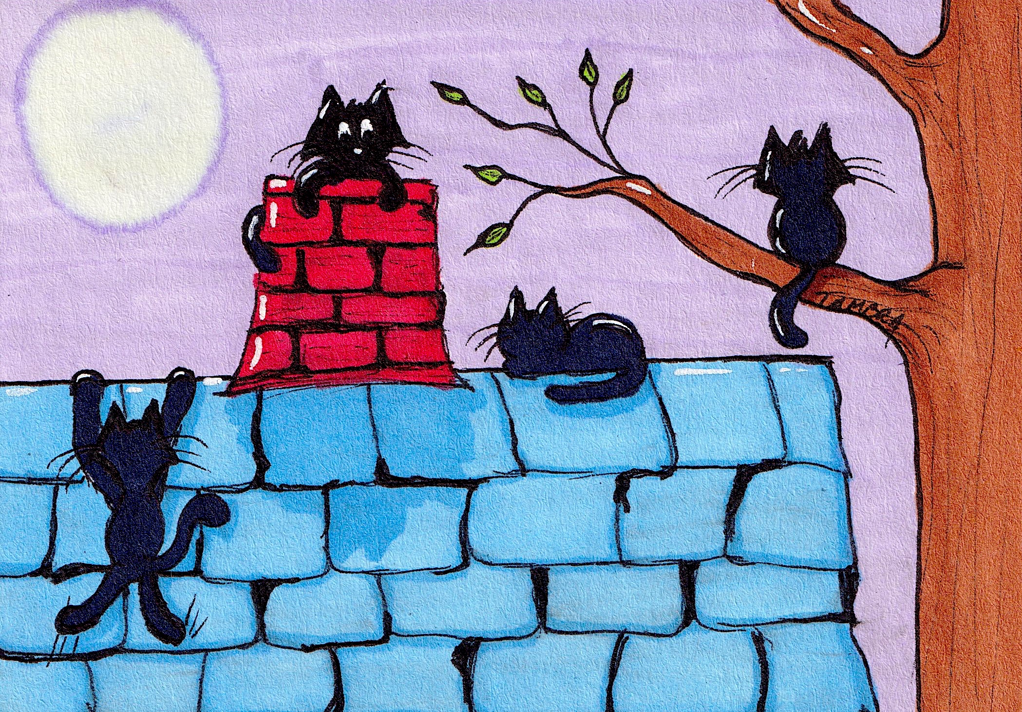 Roof Cats