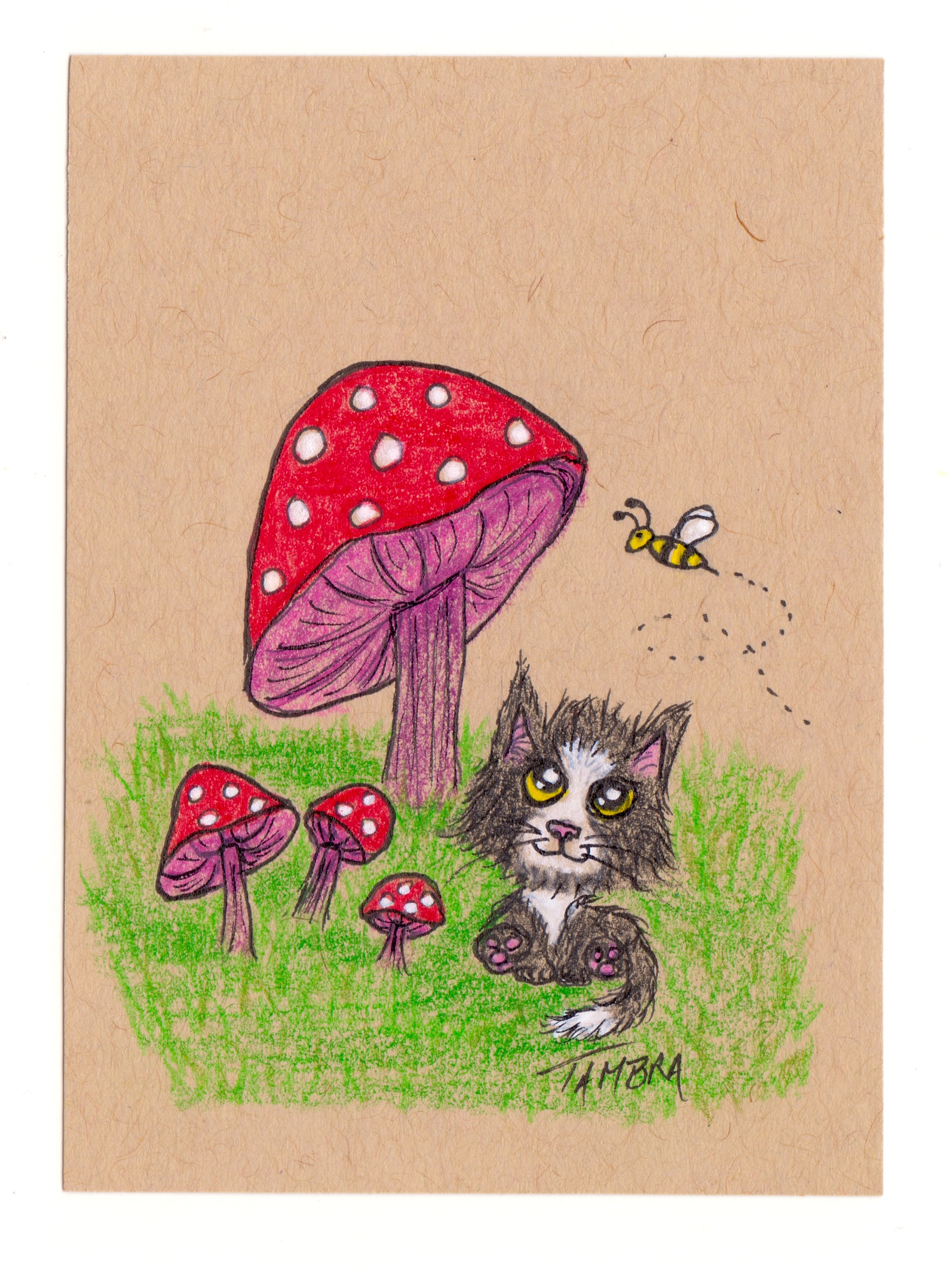 Cat with Mushrooms