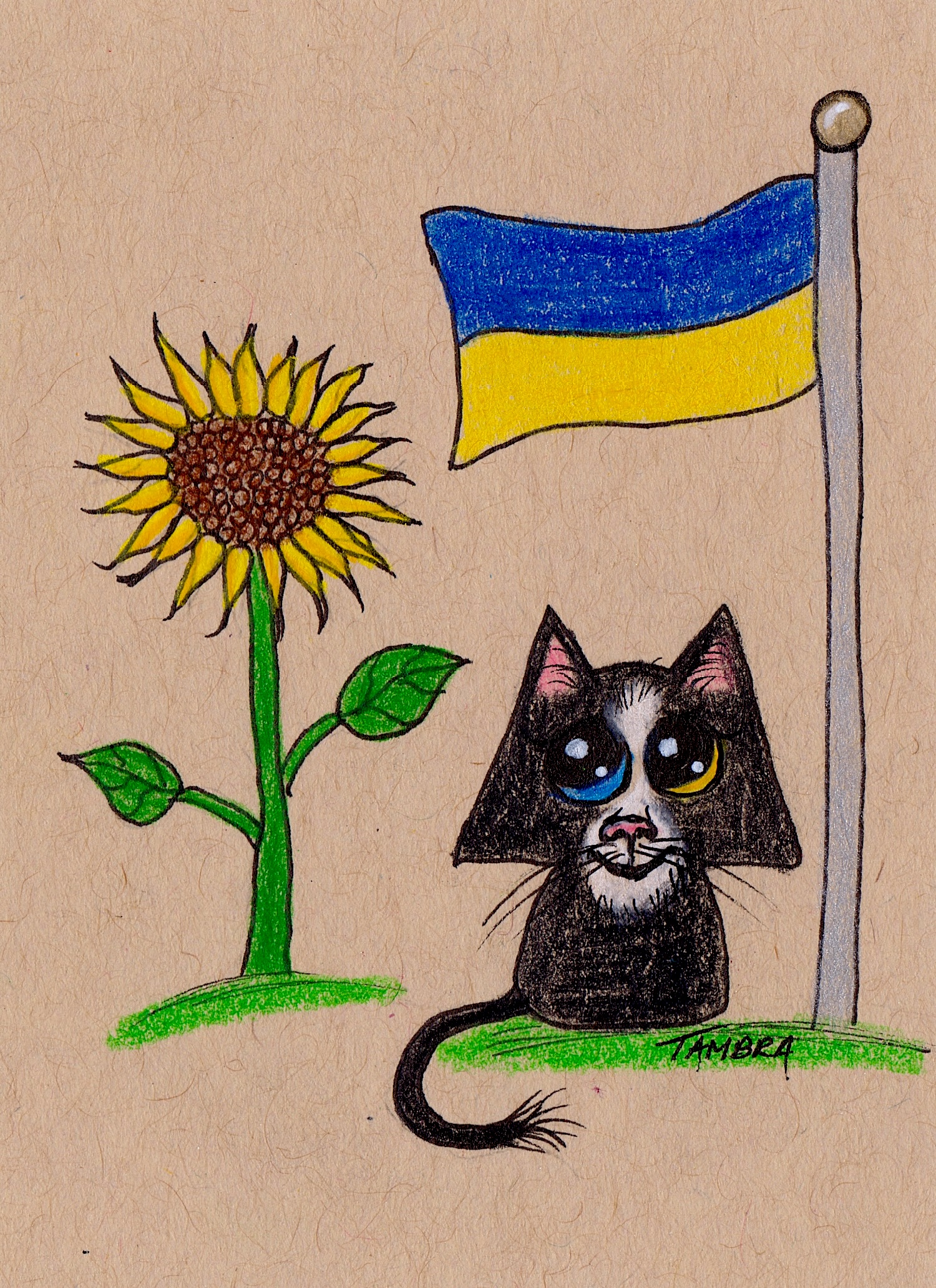 Slava Ukraini Cat