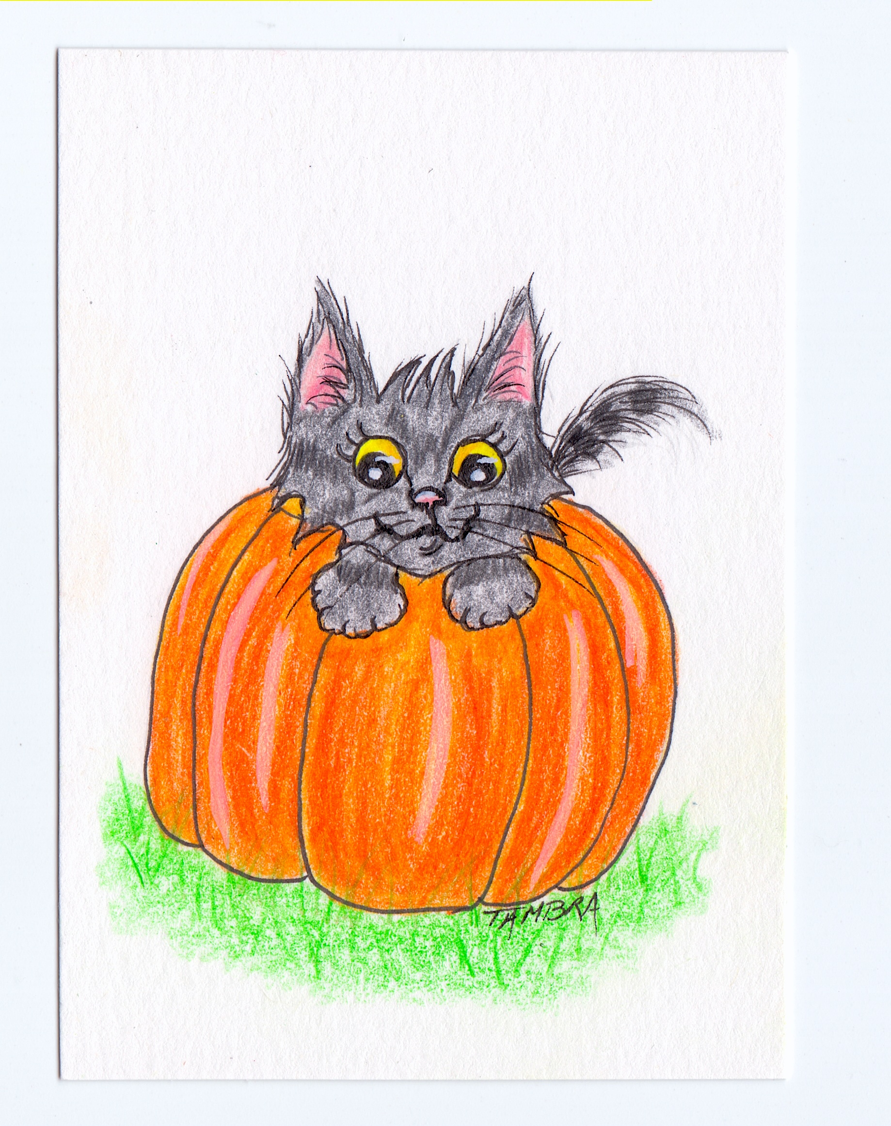 Willow in a Pumpkin