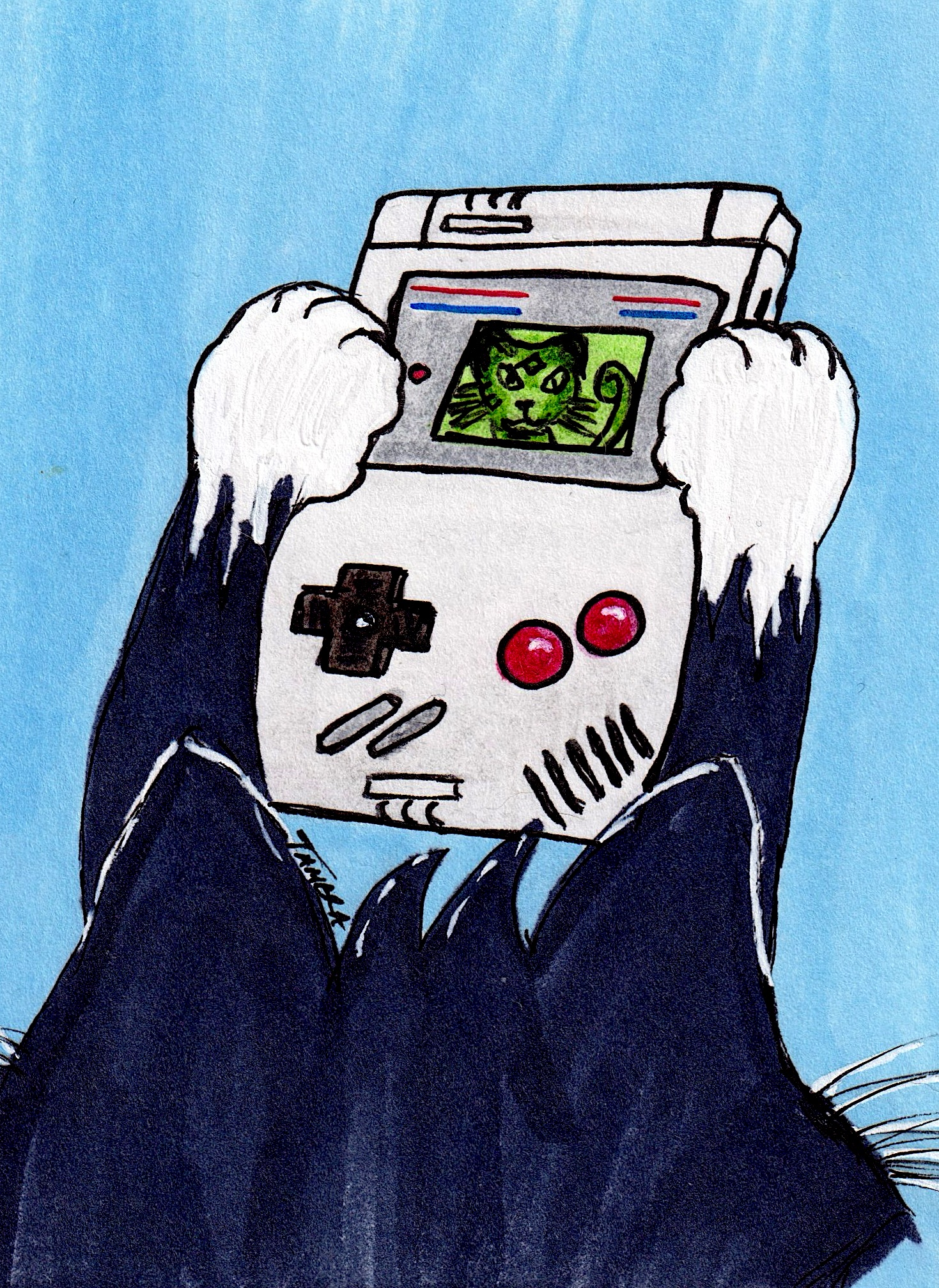 Cat Playing Game Boy