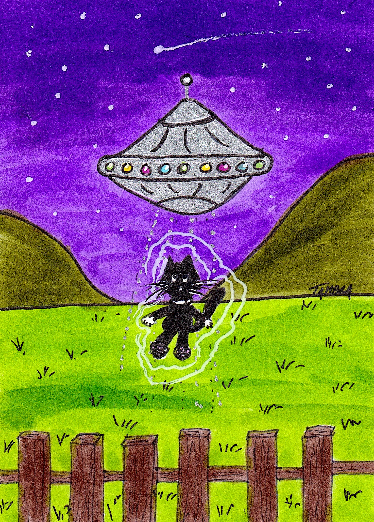 Black Cat UFO