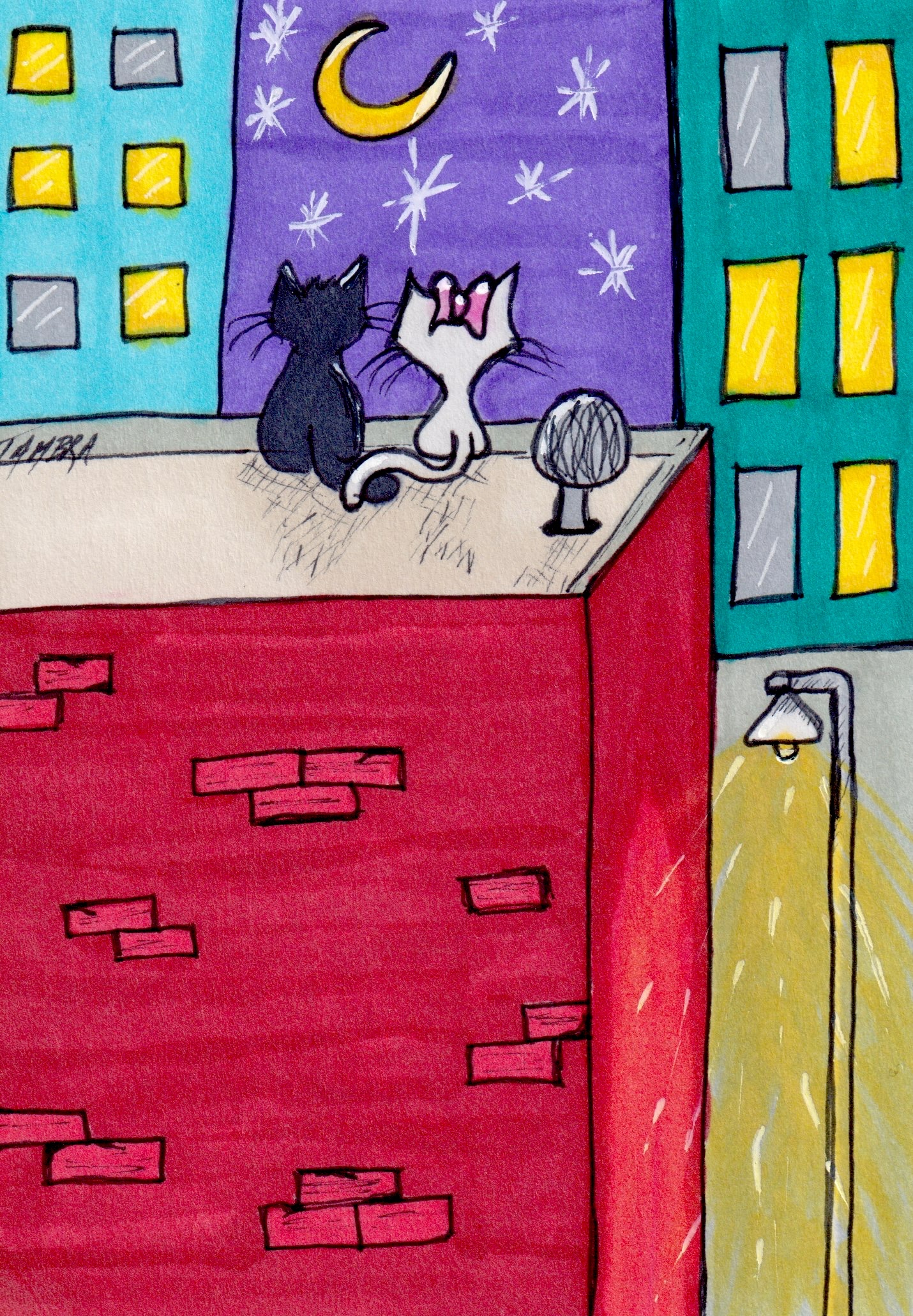 Rooftop Romance