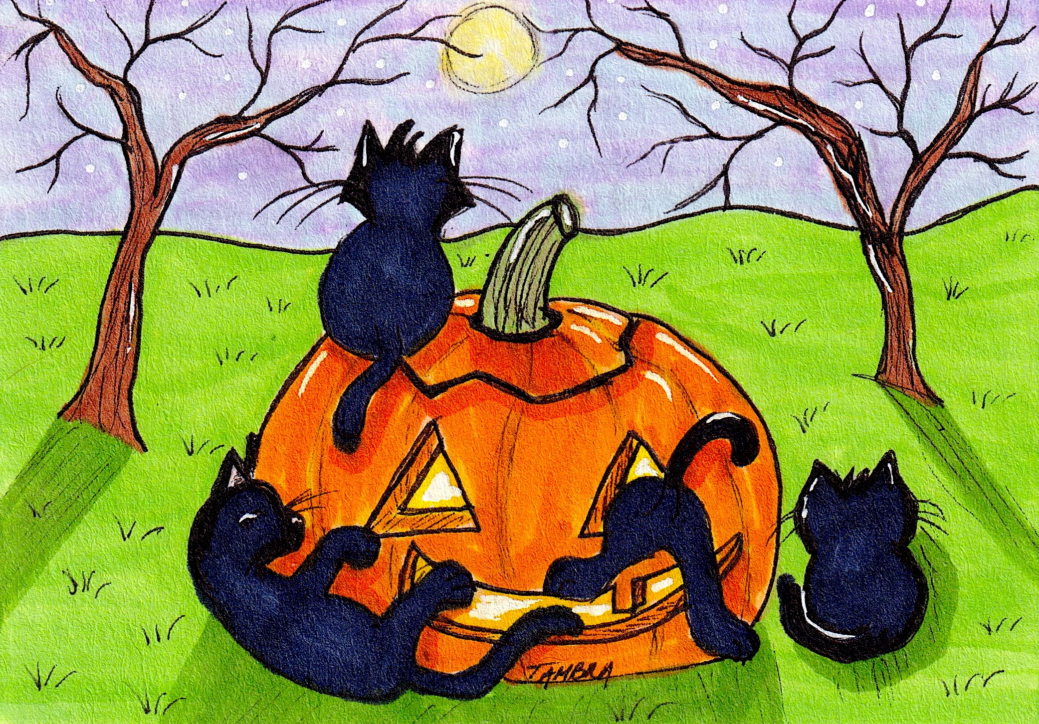 Black Cats Pumpkin Play