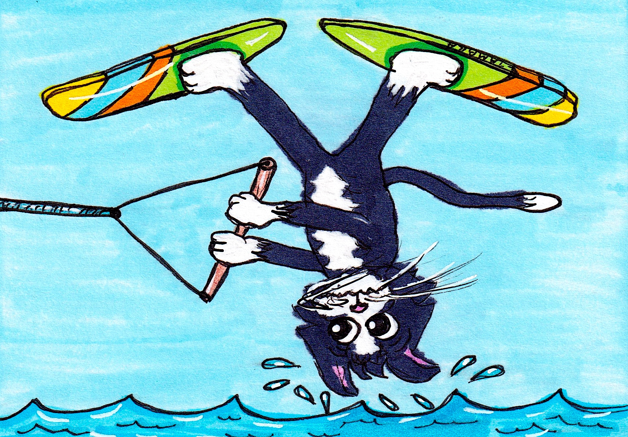 Water Skiing Cat #1
