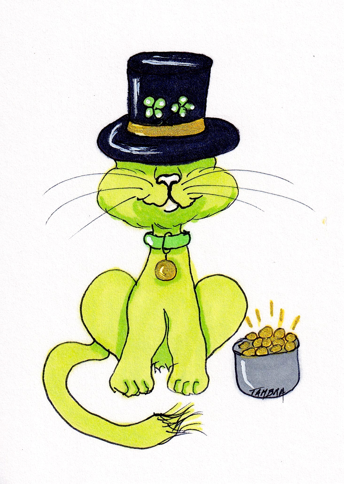 St Pat Cat