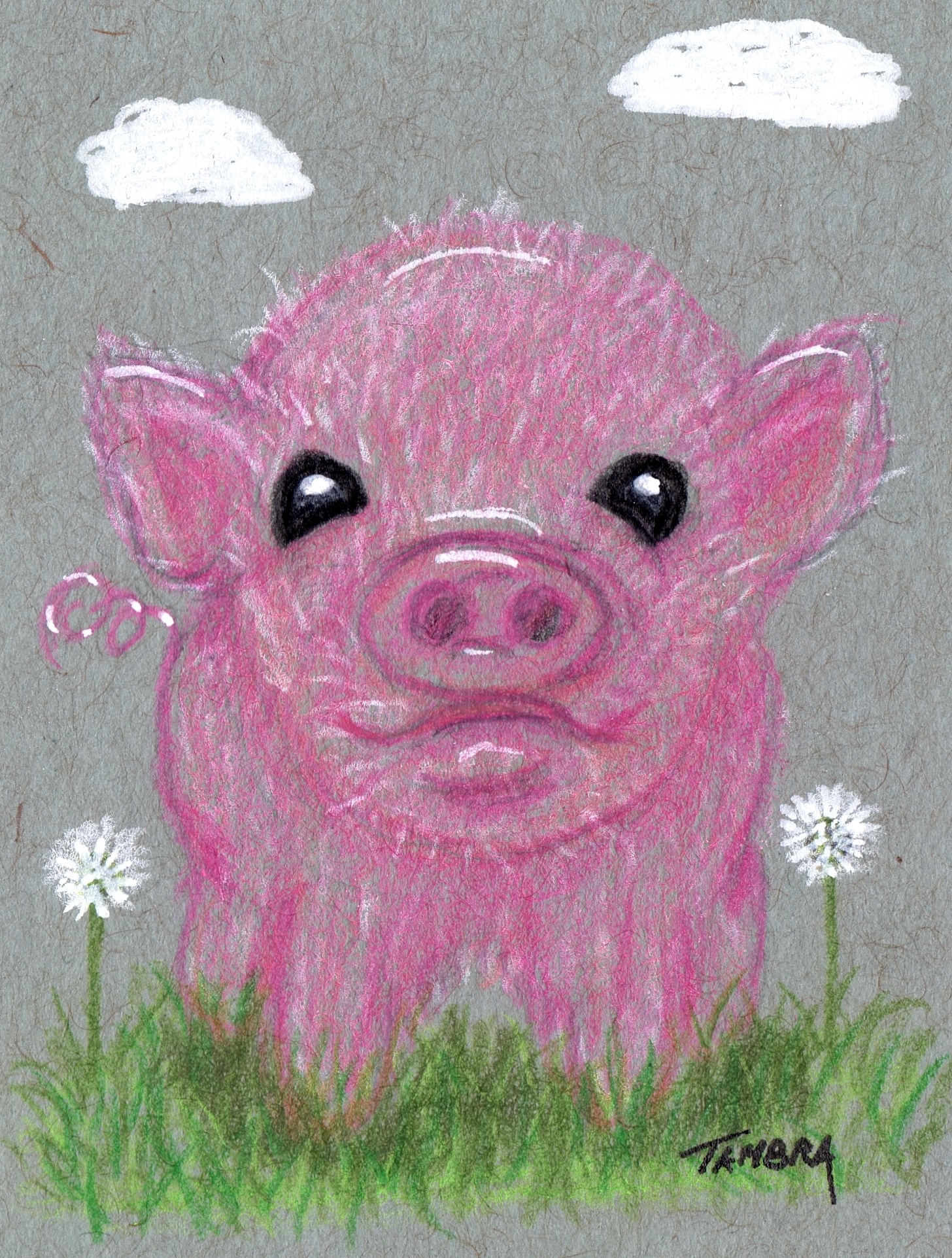 Baby Piggy