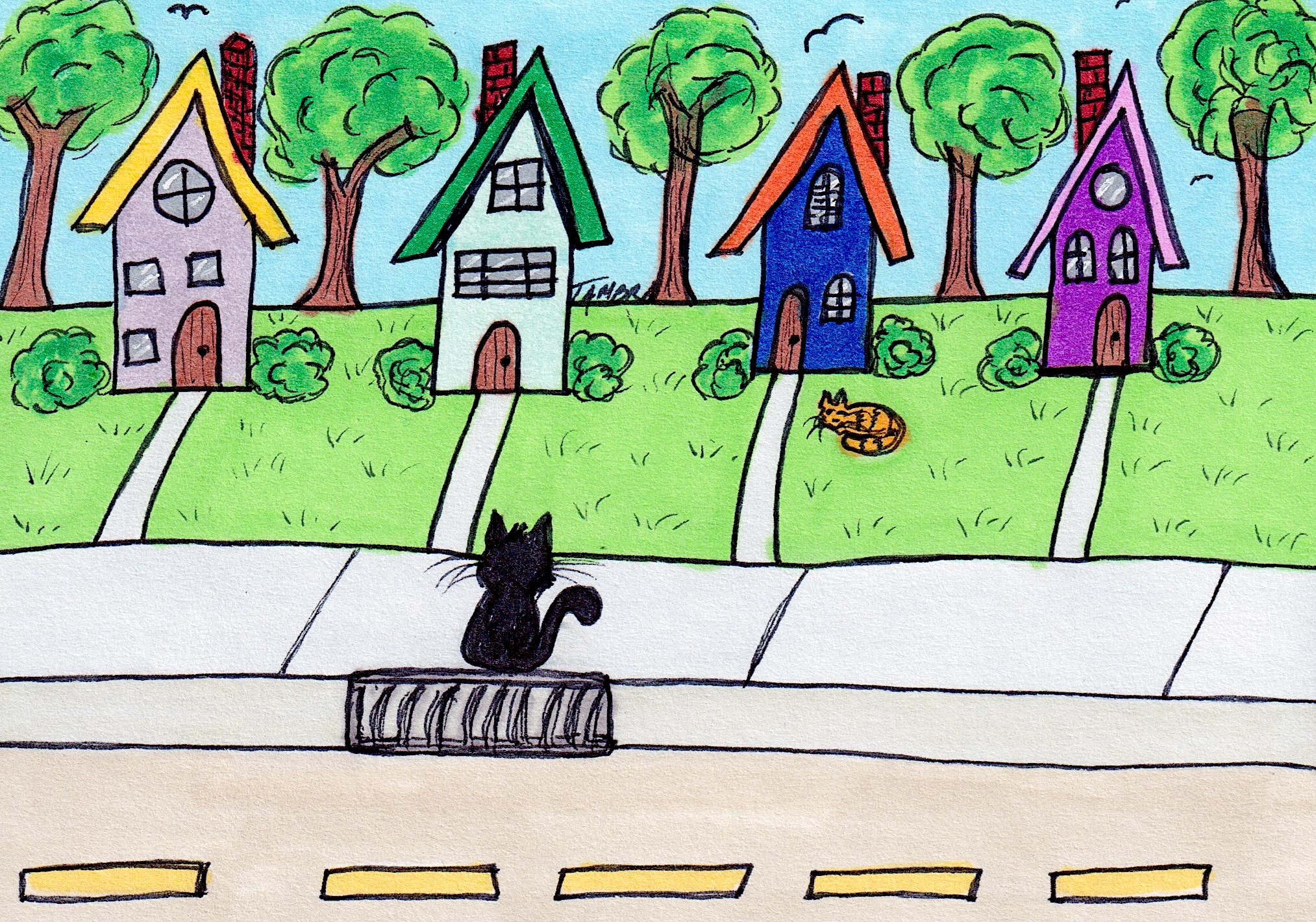 Neighborhood